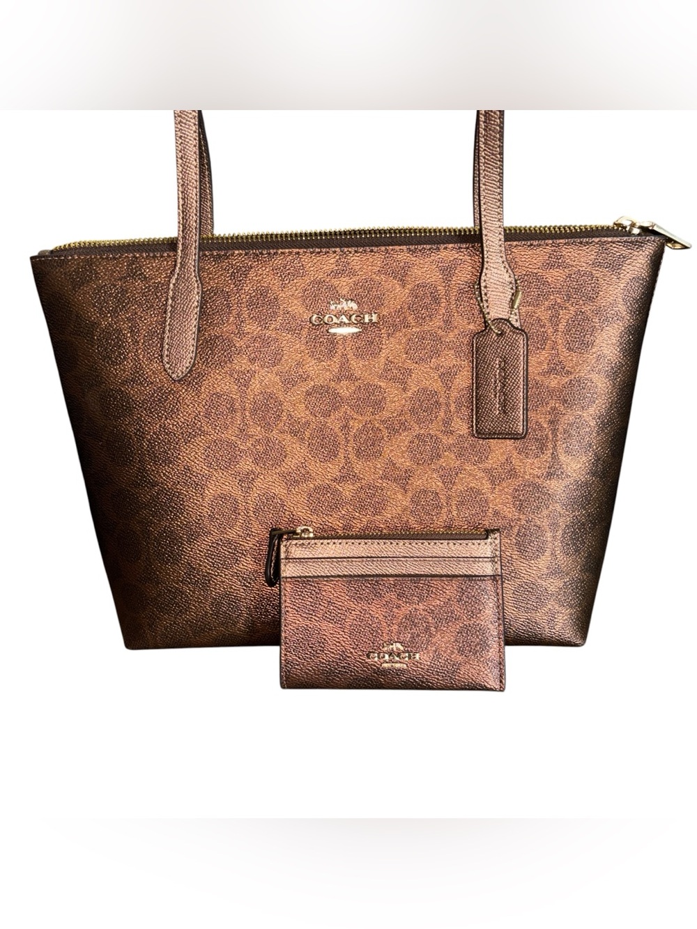 Coach Fiona Tote Bag & Card Holder